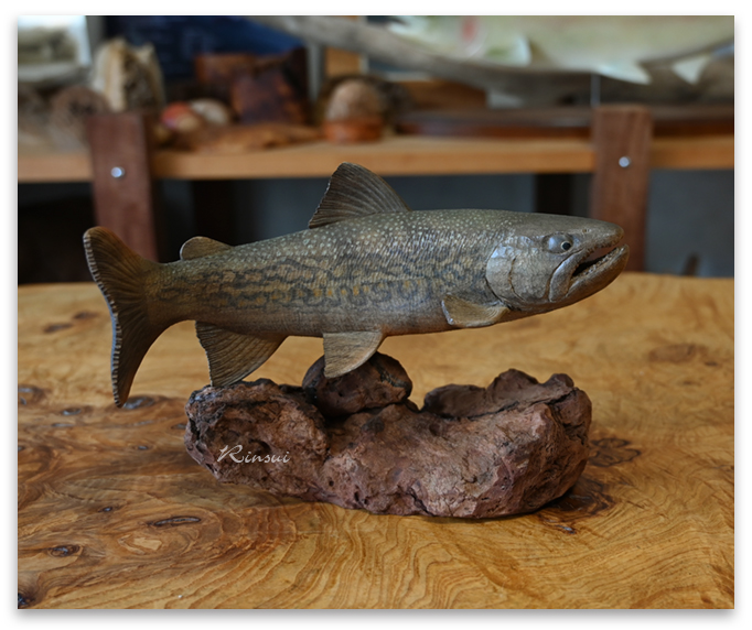 田中鱗水作 神代楠彫イワナ 木彫岩魚 29cm 2008 鱗水の木彫魚 top